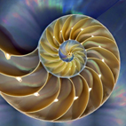 spirale aurea